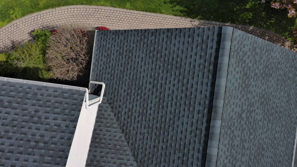 Best Asphalt Shingle Roofing  in Zilwaukee, MI